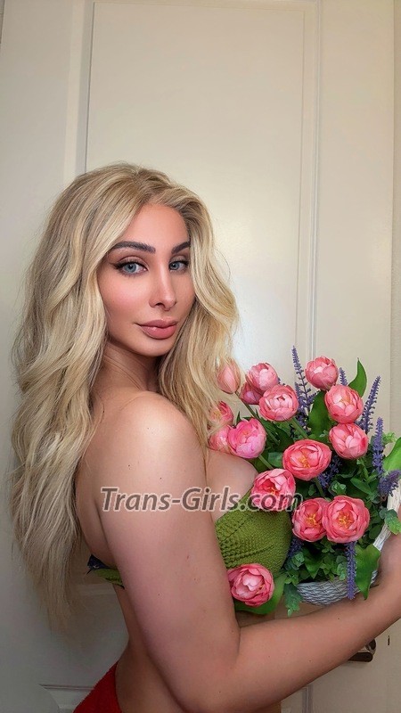 bella - Transsexual (Pre-op)