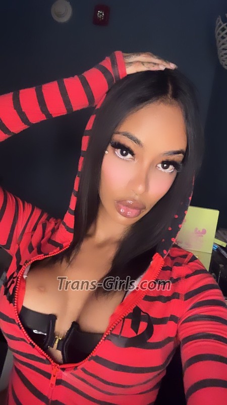 bunny in - Transsexual (Pre-op)