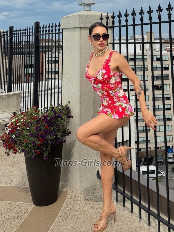 gisele tysons - Transsexual (Pre-op)