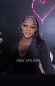 taylorp Miami Transex 