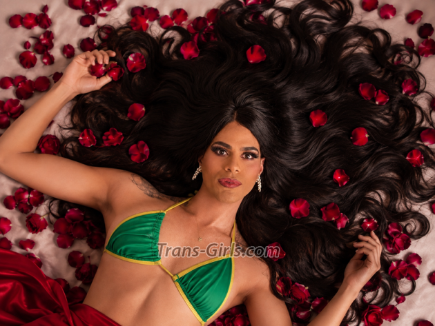 vanessa ts - Transsexual (Pre-op)